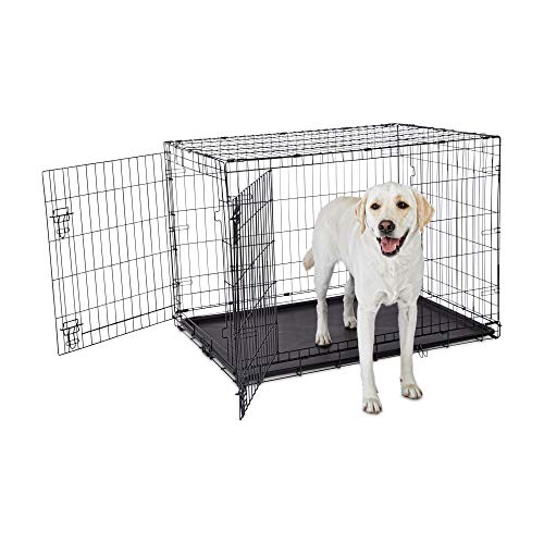 Black 2-Door Folding Dog Crate