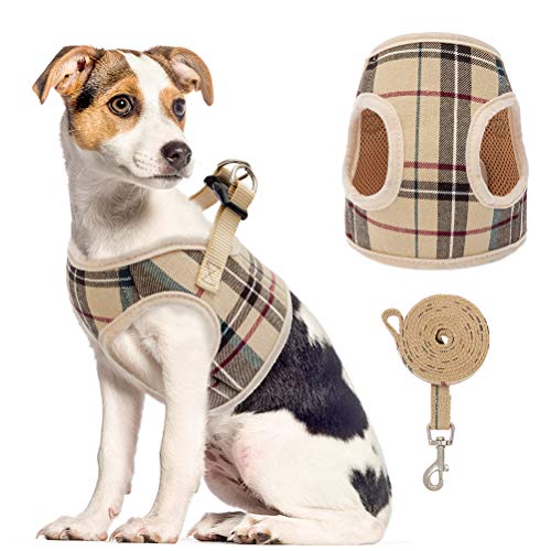 Soft Mesh Dog Harness with Leash Basic