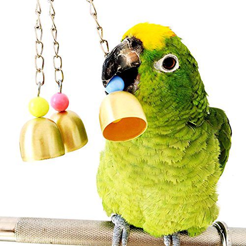 Cage Hanging Toy Toys Parrot Macaw