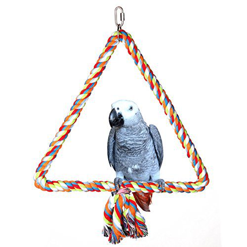 KINTOR Medium Triangle Rope Swing Bird Toy