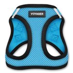 Voyager Step-In Air Dog Harness - All Weather