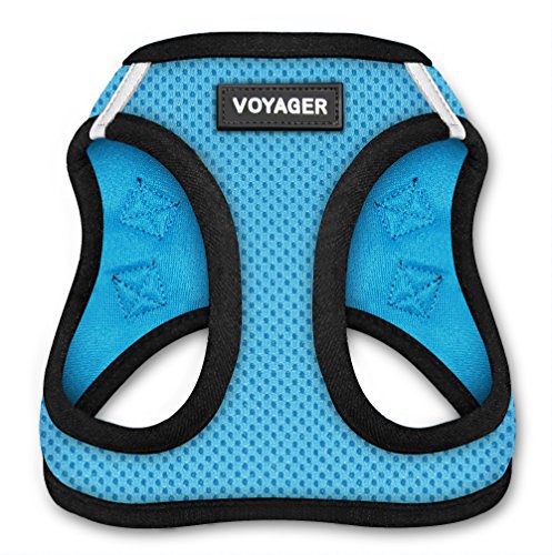 Voyager Step-In Air Dog Harness - All Weather