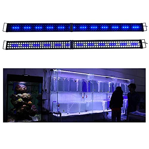 Fish Aquarium Hood Lighting Saltwater Blue