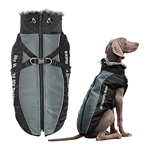 Didog Waterproof Dog Winter Jackets