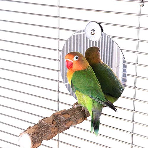 5.1 inch Stainless Steel Parrot Mirror Toys