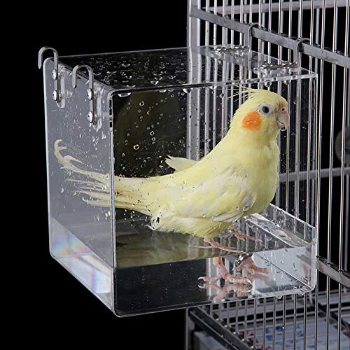 Cleaning Pet Supplies Cockatiel Bird Bathtub