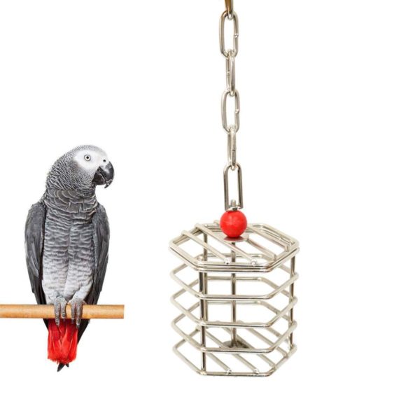 Wontee Bird Stainless Steel Foraging Feeder Parrot
