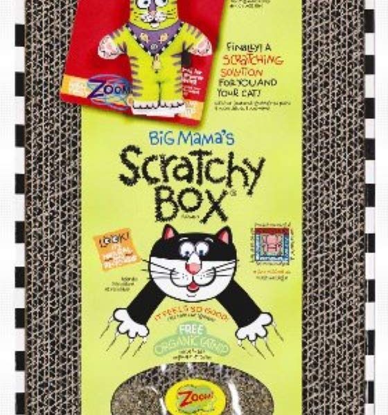 Petmate FATCAT Big Mama's Scratchy Box
