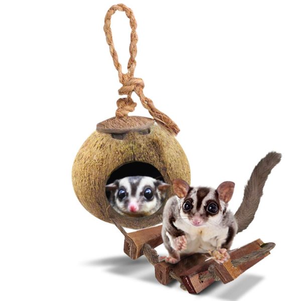 SunGrow Sugar Glider Squirrel Hut with Ladder