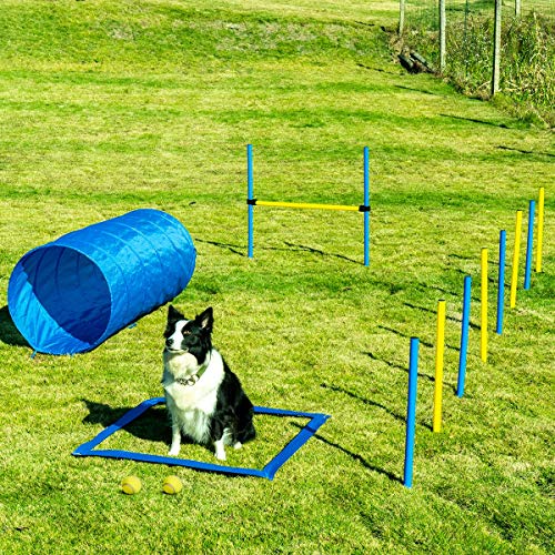 Outdoor Games Exercise Training Obstacle Course