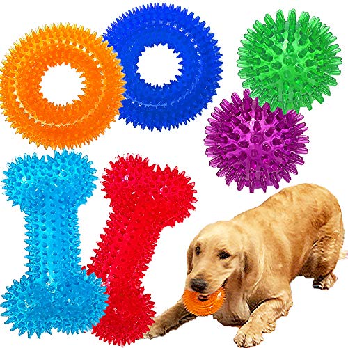 Dog Squeaky Toys Value Set