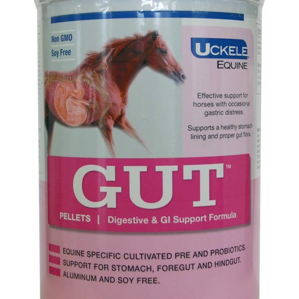 Uckele Gut Pellets, Horse Supplement