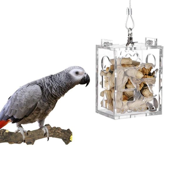 KINTOR Parrot Creative Foraging Toy Feeder Bird Cage