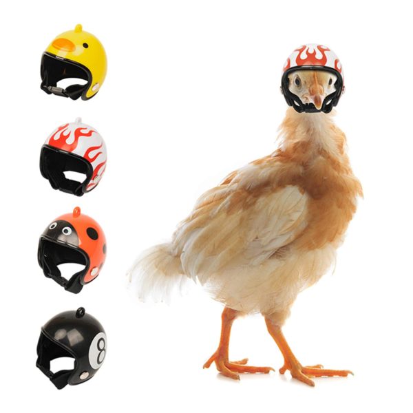 Chicken Bird Toy Head Protection Helmet Bird Hat