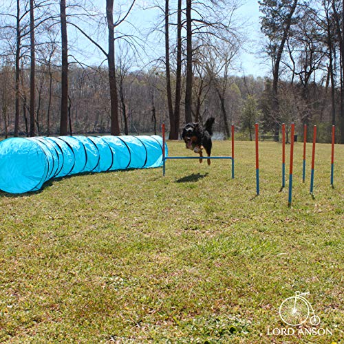 Lord Anson Dog Agility Set - Dog Agility Equipment