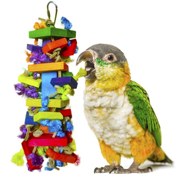 Beaks Bird Block Toy: Keep Your Feathered Friends Happy! 🦜