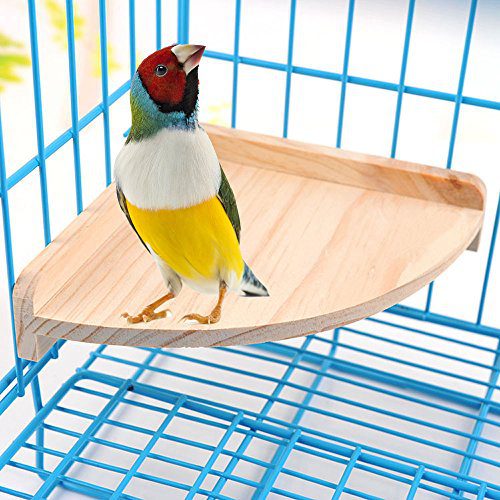 Mrli Pet Bird Perch Platform Stand Wood for Small Animals
