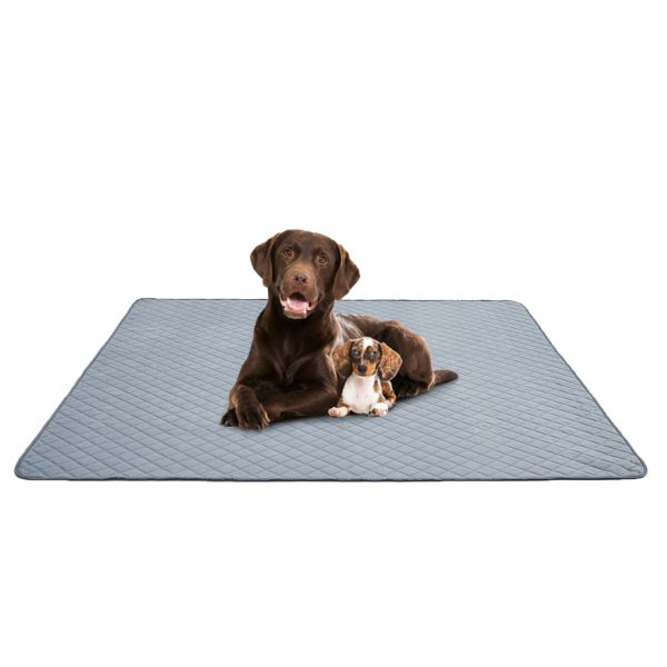 Dogs Large Reusable Washable Pee Pad