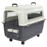 SportPet Designs Plastic Kennels Rolling Plastic