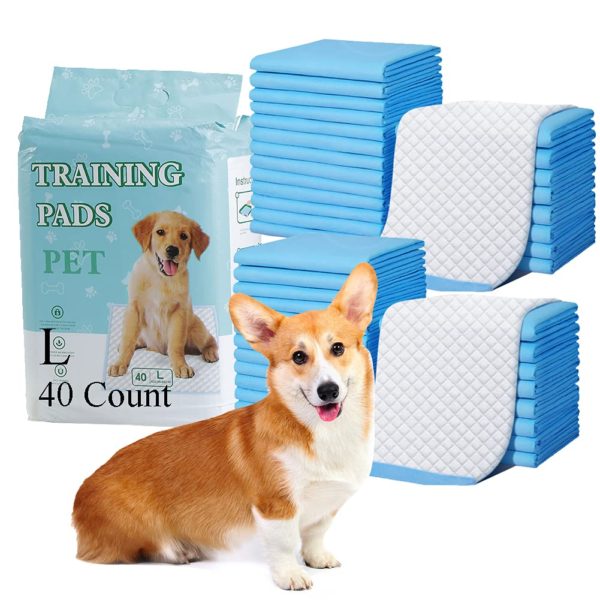 Potty Pads Leak-Proof Quick Dry Disposable Super Absorbent