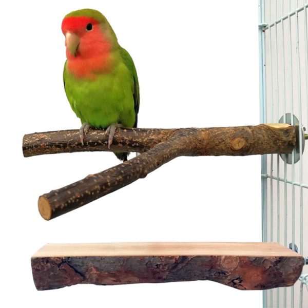 QUMY 2 Pack Parrot Bird Cage Perch Natural Wood