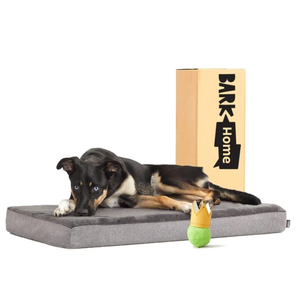 Plush Mattress Dog Bed Memory Foam Platform