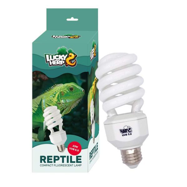 Reptile Light Compact Fluorescent Lamp