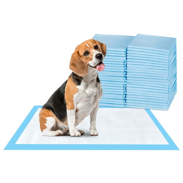 Dog and Puppy Pet Training Pad Super-Absorbent