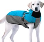 Beirui Warm Fleece Padded Large Dog Coat Clothes