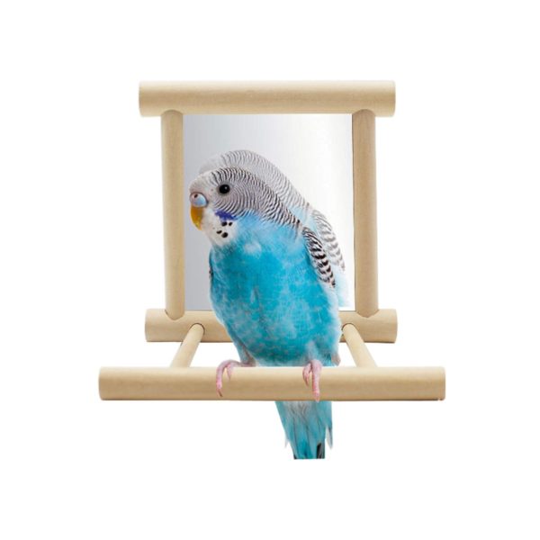 Hypeety Bird Parrot Mirror Toy Swing Hanging