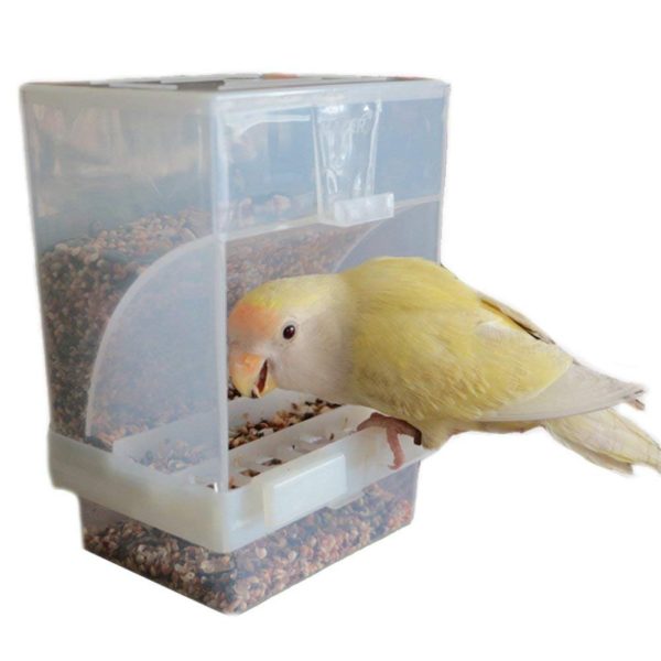 Hypeety Automatic Bird Feeder No Mess