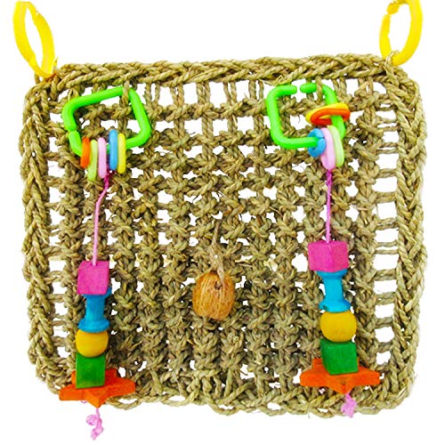 SunGrow Bird Foraging Wall Toy with Hanging Hook