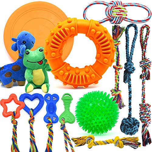 Dog Chew Toys for Puppies Teething