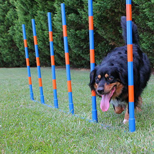 Dog Adjustable Agility Weave Poles