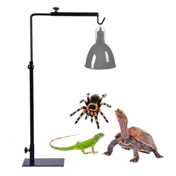 Reptile lamp Stand Fixed Bracket Adjustable Floor Light Stand