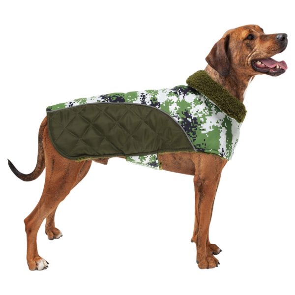 Queenmore Winter Outdoor Dog Jacket