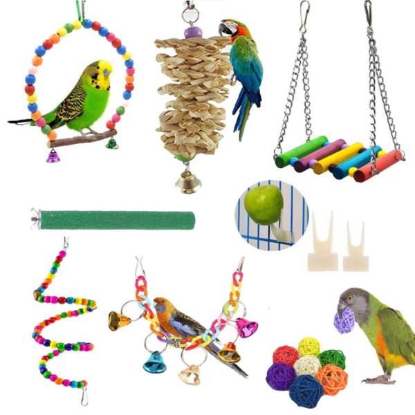 Small Bird Parrot Swing Chewing Toy