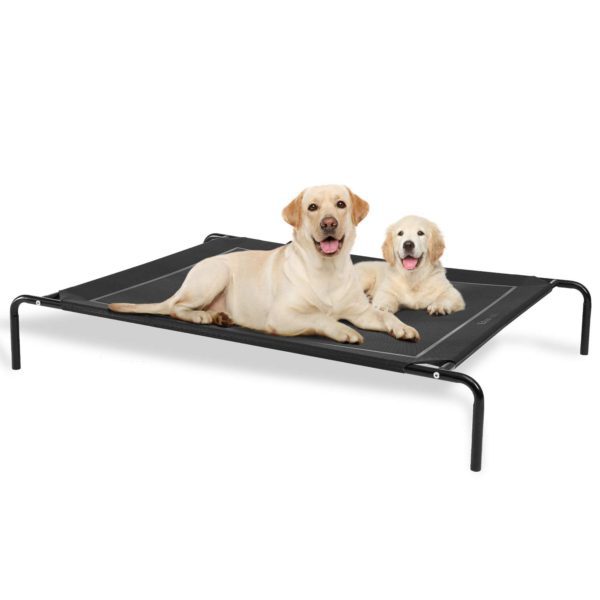 Large Dogs Elevated Bed with Durable Frame and Mesh