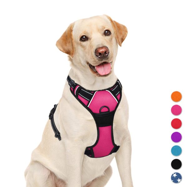 Harness Adjustable Outdoor Pet Vest 3M Reflective