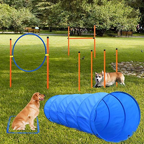 Obstacle Courses Training Starter Kit