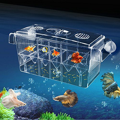 4 Rooms HD Fish Breeding Box Aquarium Breeding Box