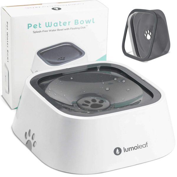 Slow Water Feeder Dog Bowl Dogs/Cats