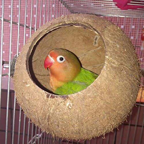 Hypeety Pet Bird Breeding Nest Coconut House