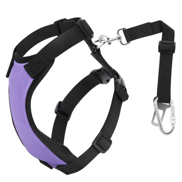 djustable Soft Padded Mesh Car Seat Belt Leash Harness