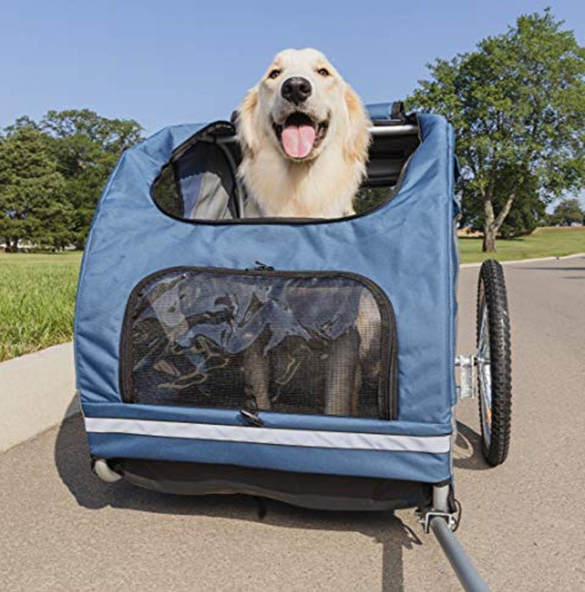 PetSafe Happy Ride Steel Dog Bicycle Trailer