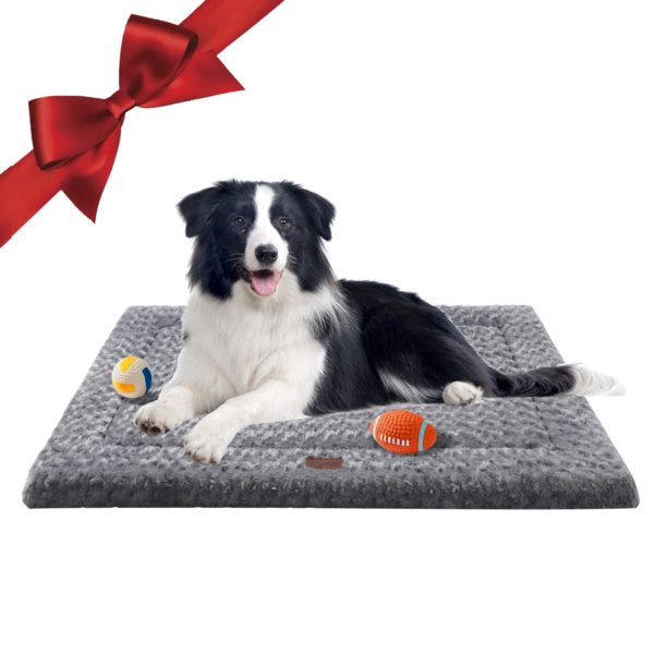Calming Dog Beds for Sleeping & Anti-Anxiety Pet Beds