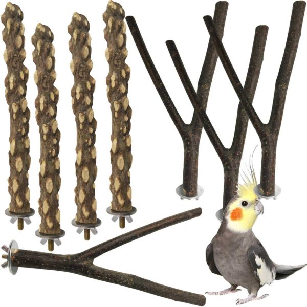 Bird Wood Perch Parakeet Standing Toy Sticks