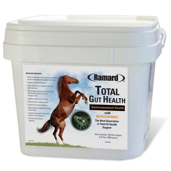 Ramard Total Gut Health for Horse