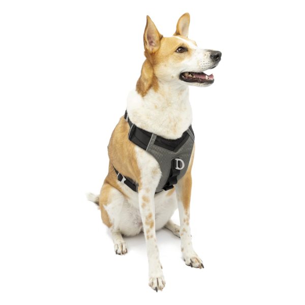 Kurgo Dog Harness for Medium & Small Active Dogs