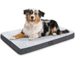 Beds for Large Dog Bed Orthopedic
